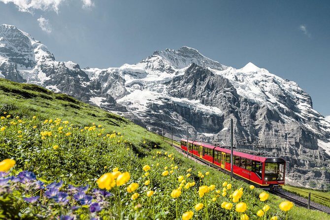 Jungfraujoch: Top of Europe Day Trip from Zurich - Who Is This Tour Best For?
