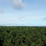 Jurmala sunset tour - Exploring Jomas Street