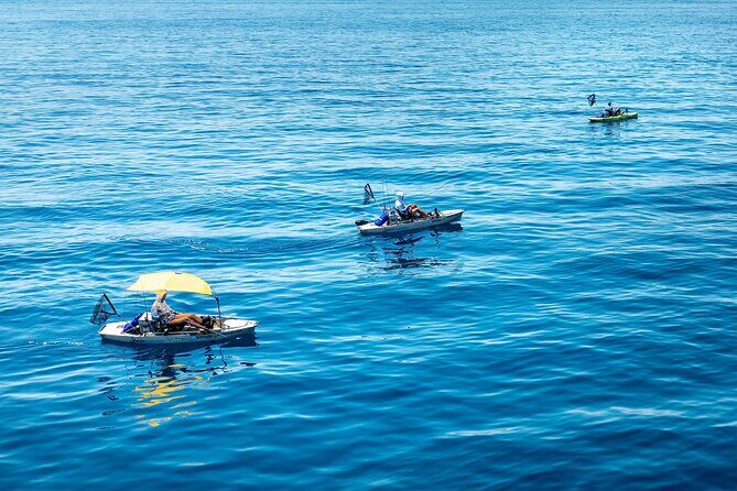 Kanjac Kayak Fishing Cavtat - The Practical Side: Price and Value