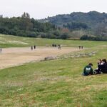 Katakolon Shore Excursion: Premium Skip-the-Lines Olympia & Free Olive Oil Tasting Tour - Exploring the Museum