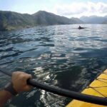 Kayak active tour - What to Expect on the Kayak Active Tour