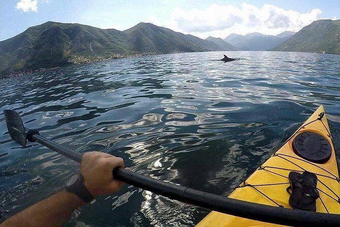 Kayak active tour - What to Expect on the Kayak Active Tour