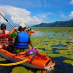 Kayak Guided Tour Skadar lake - Adventure in National park - The Itinerary Breakdown