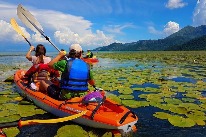 Kayak Guided Tour Skadar lake - Adventure in National park - The Itinerary Breakdown