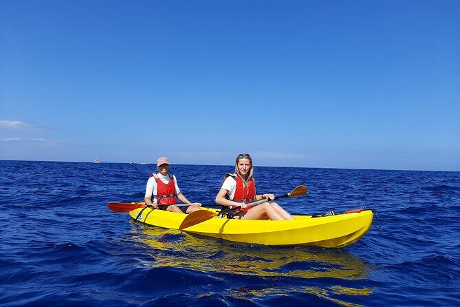 Kayak Safari with Dolphin and Turtle Watching in Guaza - The Experience in Detail