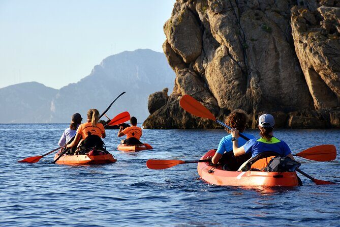 Kayak tour with aperitif and dolphins - The Experience: What Travelers Are Saying