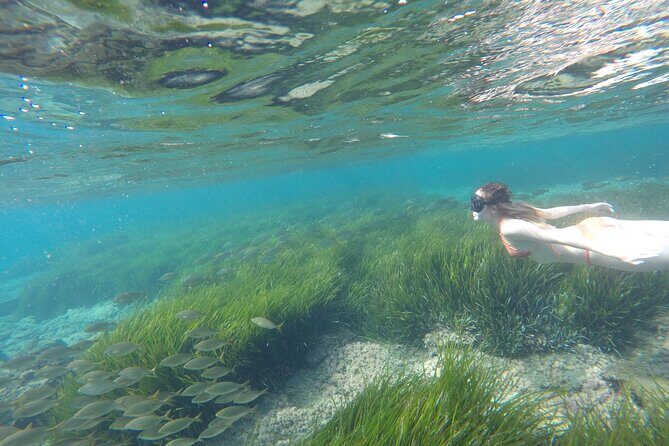 Kayak y snorkell por las mejores calas del Parque Natural Cabo de Gata - The Experience of Kayaking and Snorkeling