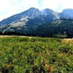 Kayaking in Berat,Tomori Lake & Jeep Safari -ARG - Who Is This Tour Best Suited For?