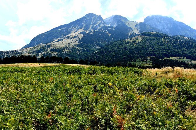 Kayaking in Berat,Tomori Lake & Jeep Safari -ARG - Who Is This Tour Best Suited For?