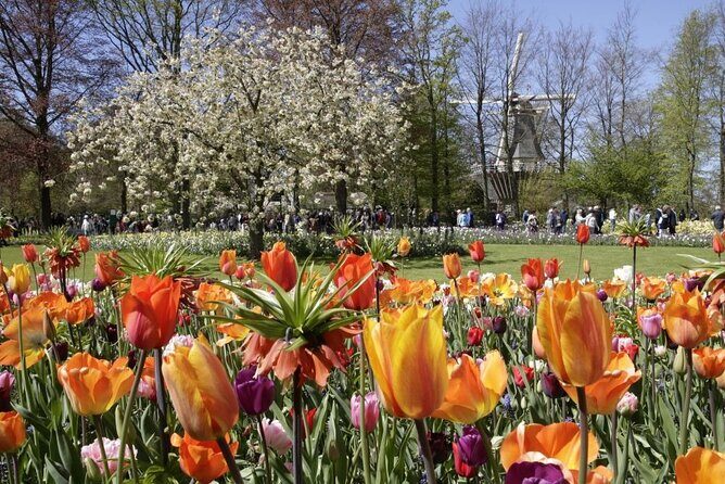 Keukenhof Entry Ticket plus Round-Trip Shuttle Bus from Amsterdam - What Do Visitors Say?