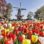 Keukenhof & FlowerFarm Tour From Amsterdam Skip-The-Line tickets - The Practicalities and What You Can Expect