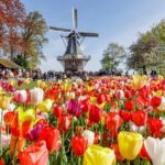 Keukenhof Gardens & Tulip Experience Tour from Amsterdam - Final Thoughts