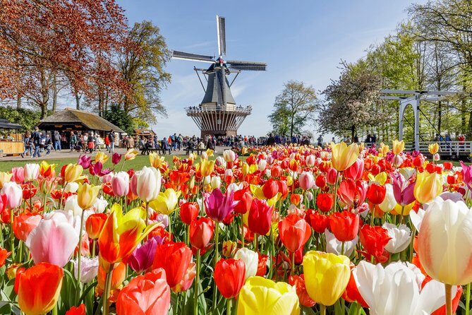 Keukenhof Gardens & Tulip Experience Tour from Amsterdam - Final Thoughts
