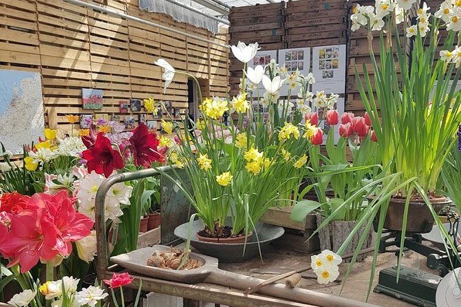 Keukenhof Skip-the-line Tickets: Countryside & Farm Private Tour - Who Is This Tour For?