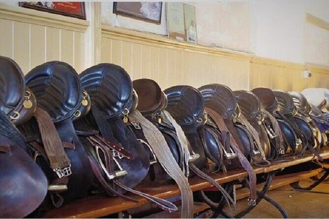 Killarney National Park Horseback Ride. Co Kerry. Guided. 3 hours. - The Scenic Highlights and Stops