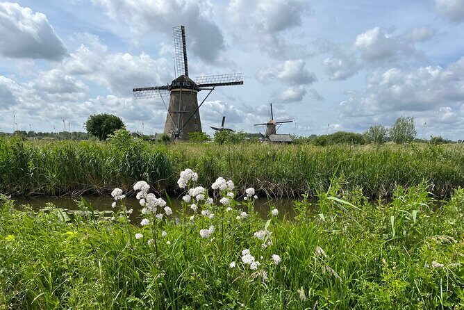 Kinderdijk Windmills, Delft City & Delft Blue Factory Visit - Who Is This Tour Best For?
