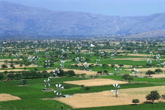 Knossos & lasithi plateau villages,Zeus's land,&olive oil factory - Price and Value