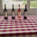 Konavle Tradition & Vines: Vodopic Winery Journey - Who Would Enjoy This Tour?