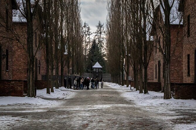Krakow: Auschwitz Birkenau Guided Tour - Private Transportation - FAQs