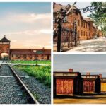 Krakow to Auschwitz-Birkenau Live Guided Tour with Transportation - Why This Tour Works for Travelers