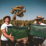 Krka Waterfalls & Wine and Cheese Tasting Tour from Split - Real Travelers’ Perspectives