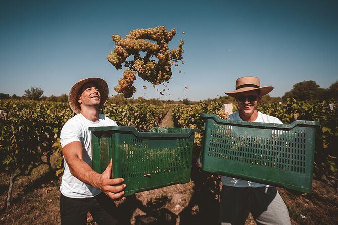 Krka Waterfalls & Wine and Cheese Tasting Tour from Split - Real Travelers’ Perspectives