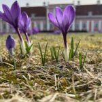 Lahemaa national park in Estonia - Practical Considerations