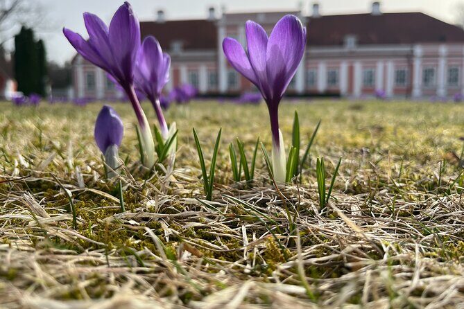 Lahemaa national park in Estonia - Practical Considerations