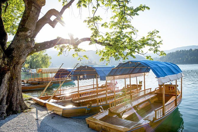 Lake Bled half day tour from Ljubljana - Who is this tour best suited for?