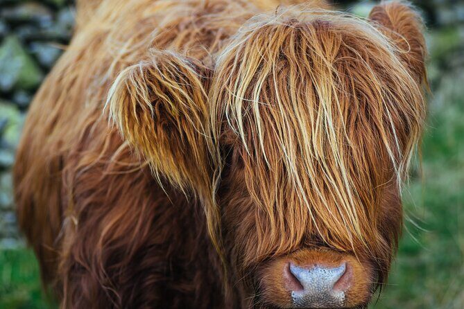 Lake District from Manchester Including Lake Cruise & Train Ride - The Experience of Traveling with Mountain Goat Tours