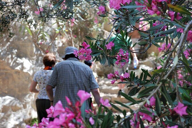 Land Rover Akamas Blue Lagoon Jeep Safari - What’s Included and What’s Not