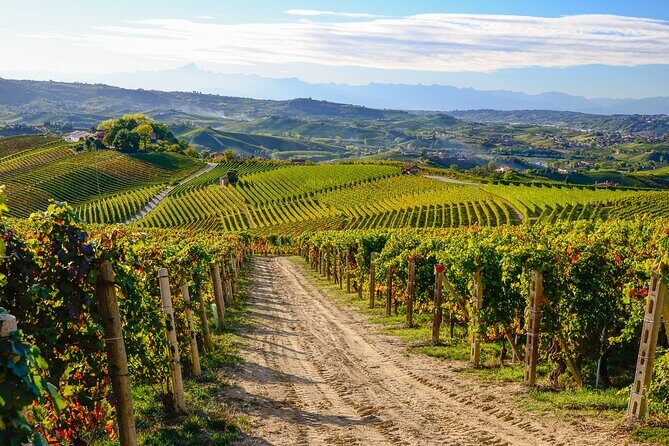 "Langhe del Barolo" Private E-bike Tour - Asphalt and Dirt Road - Who Will Love This Tour?