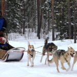 Lapland Reindeer and Husky Safari from Levi - Practical Considerations