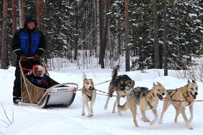 Lapland Reindeer and Husky Safari from Levi - Practical Considerations