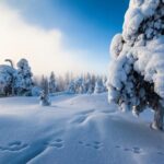 Lapland Snowmobile Safari from Levi - The Real Experience — What Travelers Say