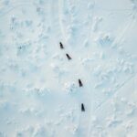 Lappish Lunch Break -Snowmobiling, ice fishing and tasty food - Practical Details and Logistics