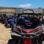Lara Bay & Adonis Falls Quad & Buggy Tour - What’s Included & What’s Not