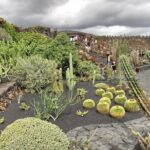 Las Palmas, Botanical Garden & Bandama Crater tour - Gran Canaria - The Experience from the Traveler’s Perspective