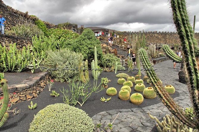Las Palmas, Botanical Garden & Bandama Crater tour - Gran Canaria - The Experience from the Traveler’s Perspective