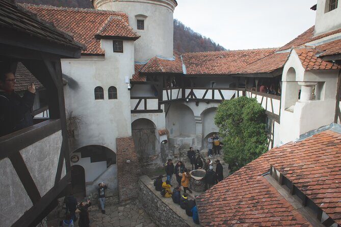 Legends&Wildlife Awaits: Dracula's Castle & Bear Sanctuary - Who Would Love This Tour?