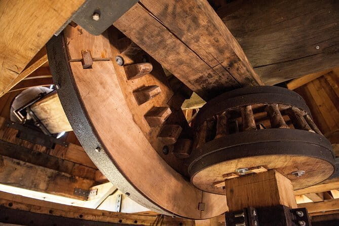 Leonardo Da Vinci's wind mill visit and Organic olive oil tasting - FAQ