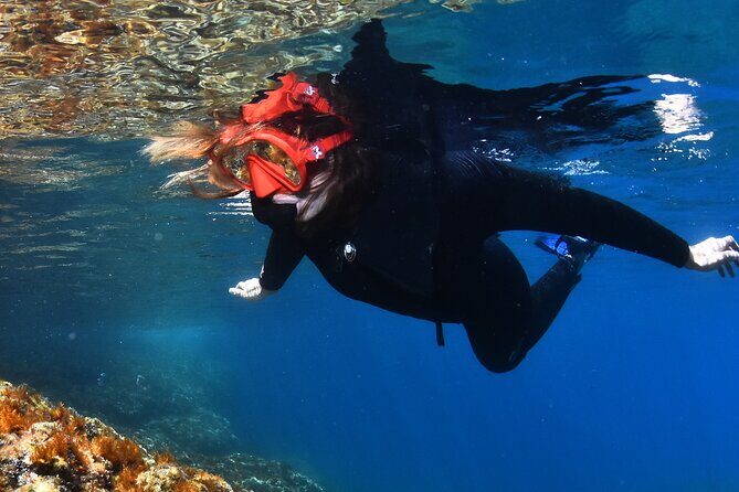 L'Estartit: Snorkeling in the Medes Islands - The Real Value of the Tour