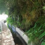 Levada Serra D´Agua - The Itinerary in Detail