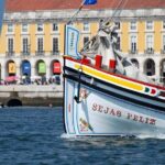 Lisbon Traditional Boats - Express Cruise - 45min - The Few Drawbacks and Considerations
