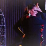 Local Flamenco Show at El Cortijo - The Itinerary Breakdown