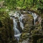 Loch Ness Cruise, Scenic Walk, Whisky & Glencoe Tour - Edinburgh - The Realities of the Tour: Pros and Cons