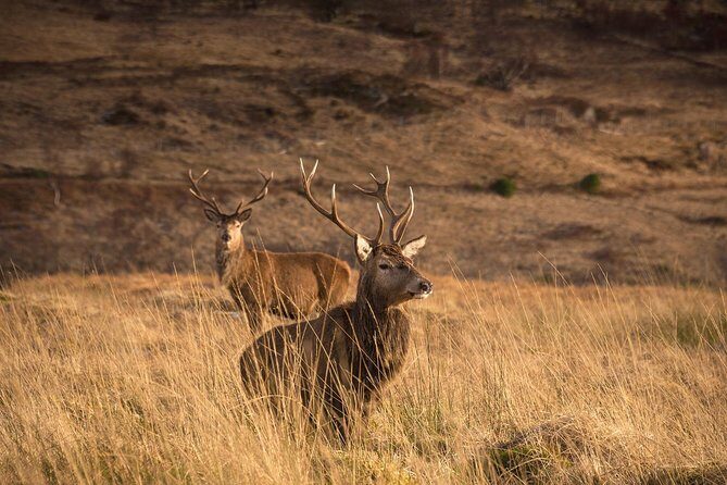 Loch Ness, Scottish Highlands, Glencoe and Pitlochry Tour - Fort Augustus & Loch Ness