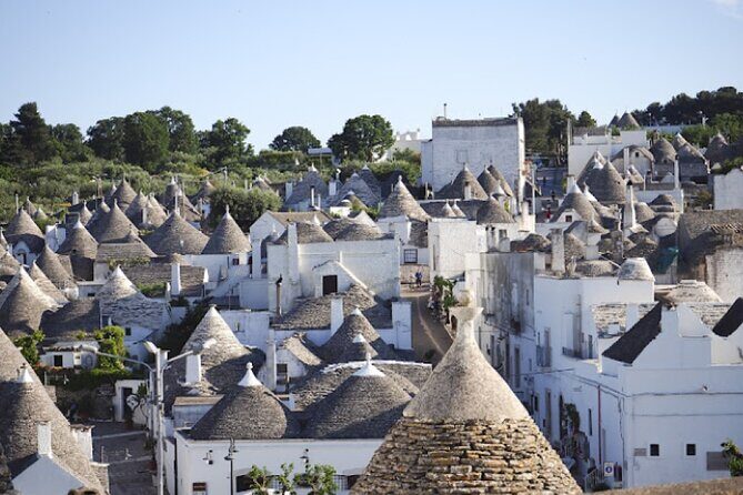 Locorotondo, Alberobello, Martina Franca departing from Taranto - Alberobello and Its Famous Trulli