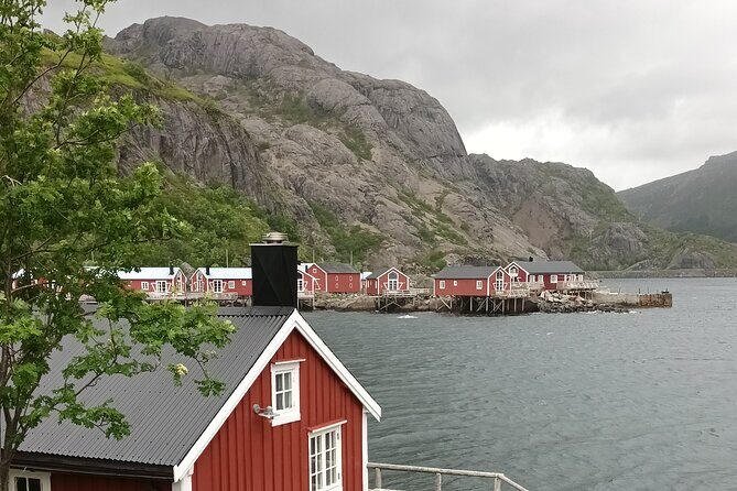 Lofoten VIP PRIVATE Tour from Leknes city / port - A Deep Dive into the Itinerary