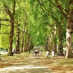 London in a Day Walking Tour from the Tower to Kensington - The Itinerary in Detail